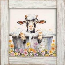 12x12 Framed Bathing Goat