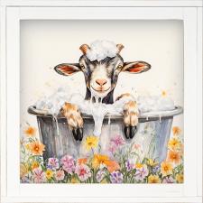 12x12 Framed Bathing Goat