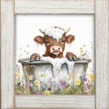 12x12 Framed Highland Calf Bathing 1