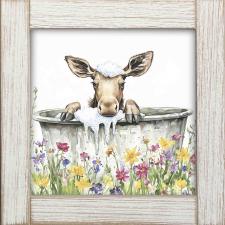 12x12 Framed Baby Moose Bathing