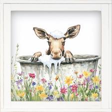 12x12 Framed Baby Moose Bathing