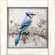 12x12 Framed Blue Jay 2