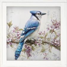12x12 Framed Blue Jay 2
