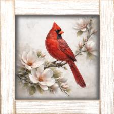 12x12 Framed Cardinal 2
