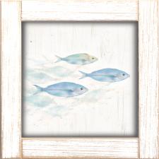 12x12 Framed School of 3 Fish