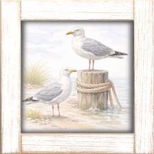12x12 Framed Pair Of Seagulls