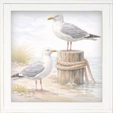 12x12 Framed Pair Of Seagulls