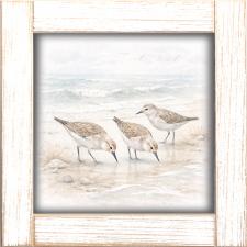 12x12 Framed Sandpipers Searching The Beach