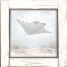 12x12 Framed Stingray Floating Through Water
