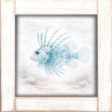 12x12 Framed Blue Lion Fish