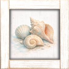 12x12 Framed Collection Of Shells On Beach