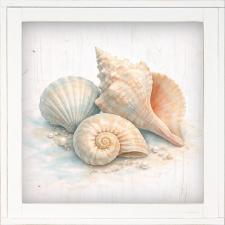 12x12 Framed Collection Of Shells On Beach