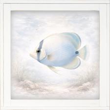 12x12 Framed Butterfly Fish