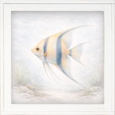 12x12 Framed Angel Fish