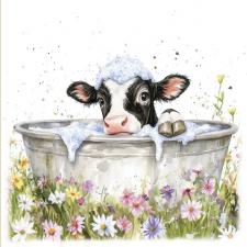 Black & White Cow Bathing 1 Box Sign