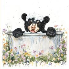 Black Bear Bathing 2 Box Sign 