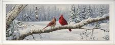 10x24 Horizontal Framed Cardinal Branch Art Work