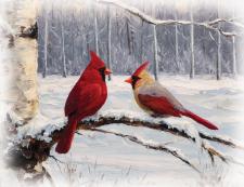 Cardinal 1 Fun Block