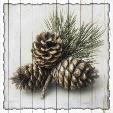 15x15 Slat Sign Pine Cones