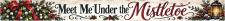 Meet Me Under The Mistletoe Shelf Sitter