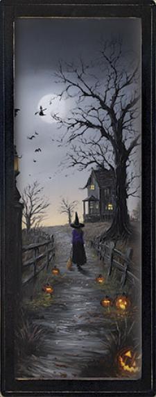 10x24 Framed Witch House
