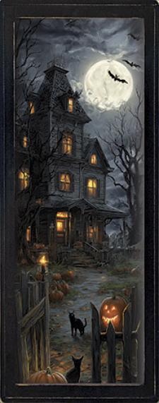 10x24 Framed Haunted House