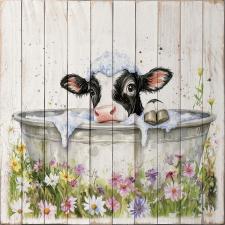 Black & White Cow Bathing 1 15