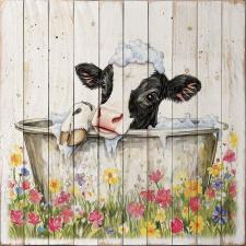 Black & White Cow Bathing 3 15