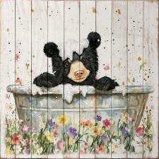 Black Bear Bathing 1 15