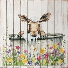 Baby Moose Bathing 15